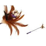 GiGwi Feather teaser